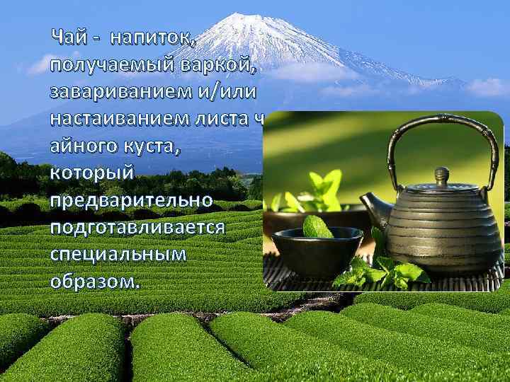  Чай - напиток, получаемый варкой, завариванием и/или настаиванием листа ч айного куста, который