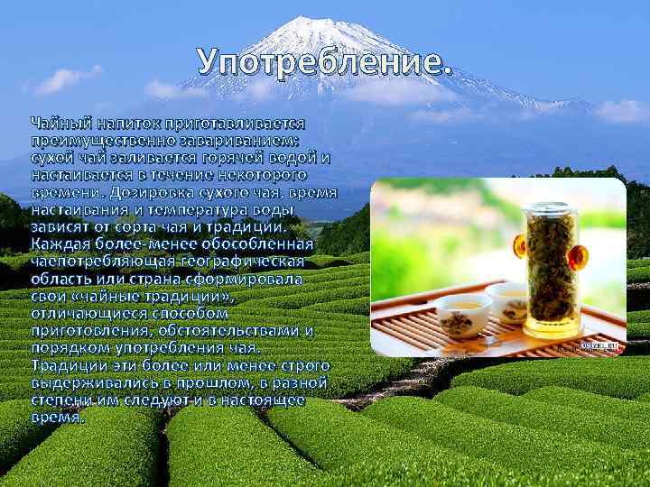 Употребление. Чайный напиток приготавливается преимущественно завариванием: сухой чай заливается горячей водой и настаивается в