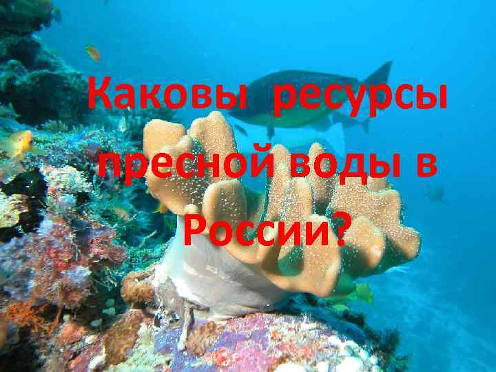 Каковы ресурсы пресной воды в России? 