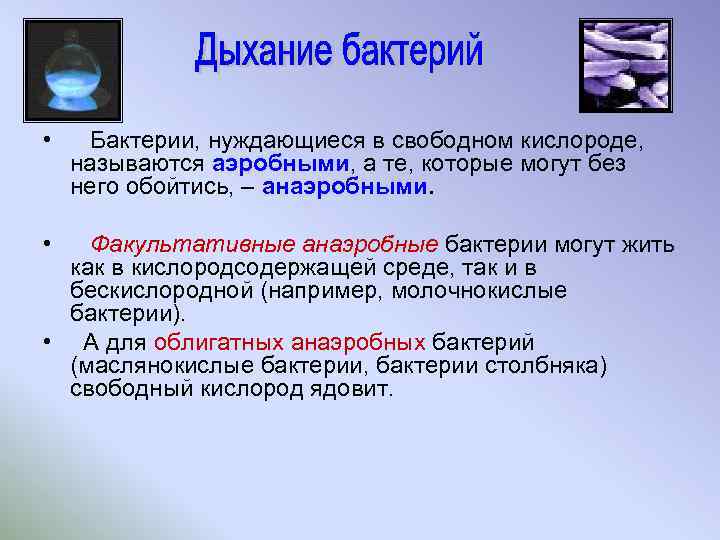  • Бактерии, нуждающиеся в свободном кислороде, называются аэробными, а те, которые могут без