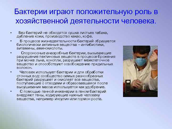 Бактерии играют положительную роль в хозяйственной деятельности человека. • • • Без бактерий не