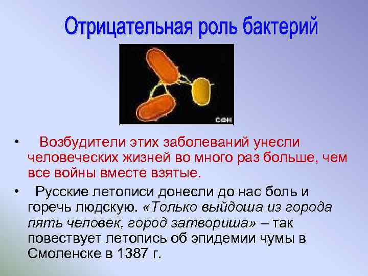  • Возбудители этих заболеваний унесли человеческих жизней во много раз больше, чем все