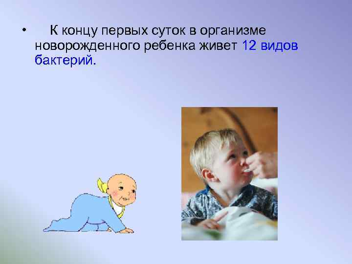  • К концу первых суток в организме новорожденного ребенка живет 12 видов бактерий.