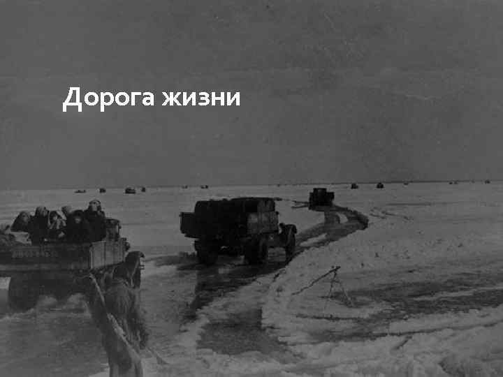 Дорога жизни 