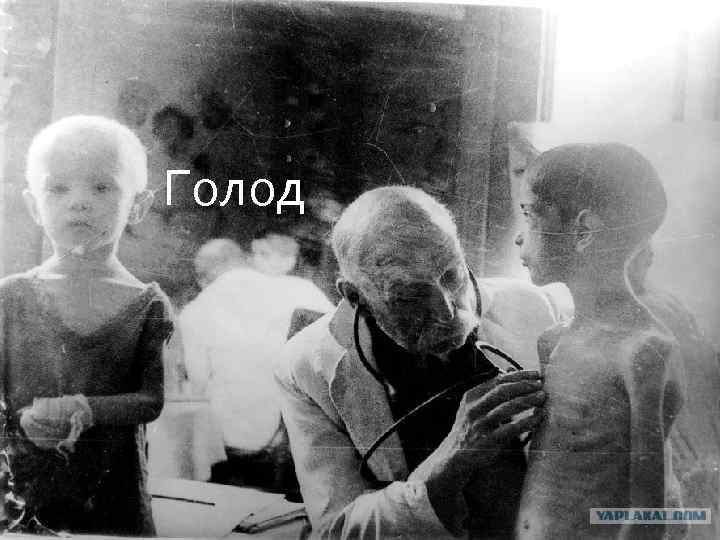 Голод 