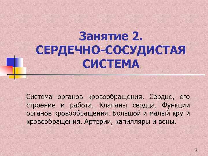 Занятие 2. СЕРДЕЧНО-СОСУДИСТАЯ СИСТЕМА Система органов кровообращения. Сердце, его строение и работа. Клапаны сердца.