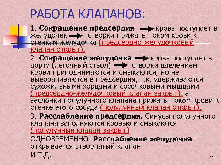 РАБОТА КЛАПАНОВ: 1. Сокращение предсердия кровь поступает в желудочек створки прижаты током крови к