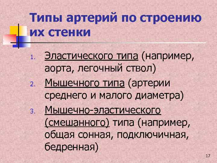 Типа например. Типы артерий. Перечислите артерии смешанного типа. Типы артерий по строению их стенок. Характеристика смешанной артерии.