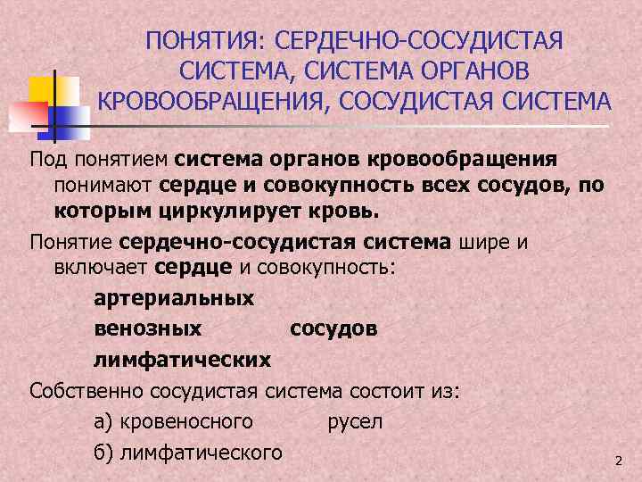 ПОНЯТИЯ: СЕРДЕЧНО-СОСУДИСТАЯ СИСТЕМА, СИСТЕМА ОРГАНОВ КРОВООБРАЩЕНИЯ, СОСУДИСТАЯ СИСТЕМА Под понятием система органов кровообращения понимают