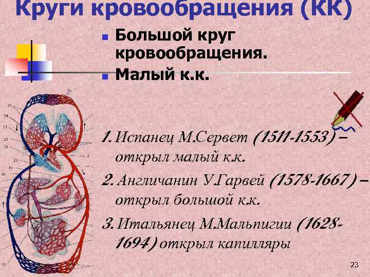 Дополните схему малого круга кровообращения вставьте вместо пропусков необходимые по смыслу слова