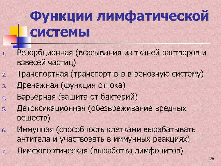 Функции лимфы