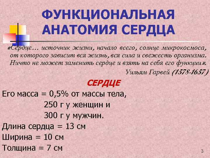 ФУНКЦИОНАЛЬНАЯ АНАТОМИЯ СЕРДЦА «Сердце… источник жизни, начало всего, солнце микрокосмоса, от которого зависит вся