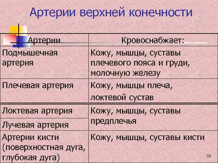 Артерии верхней конечности Артерии Подмышечная артерия Плечевая артерия Локтевая артерия Кровоснабжает: Кожу, мышцы, суставы