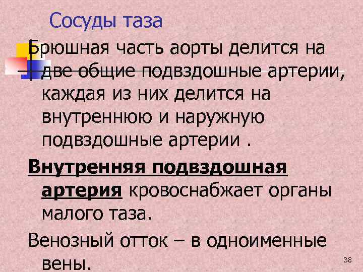 Сосуды таза Брюшная часть аорты делится на две общие подвздошные артерии, каждая из них