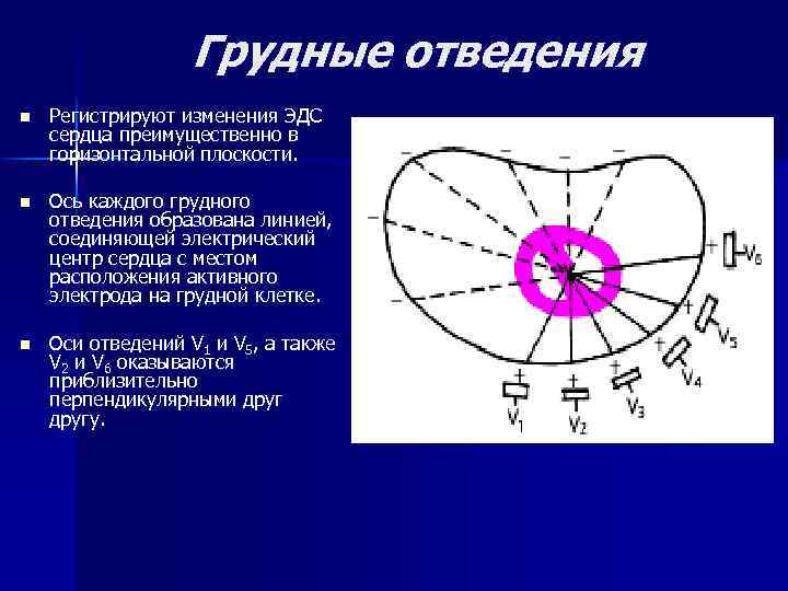 Грудные отведения n Регистрируют изменения ЭДС сердца преимущественно в горизонтальной плоскости. n Ось каждого