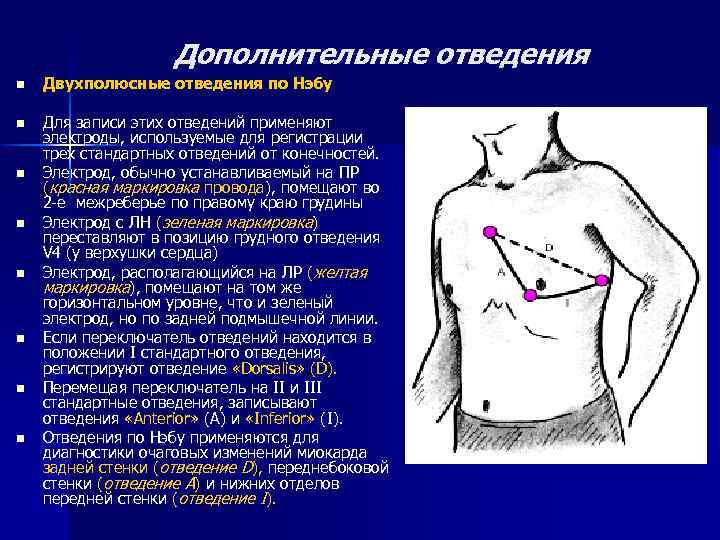 Дополнительные отведения n n n n n Двухполюсные отведения по Нэбу Для записи этих