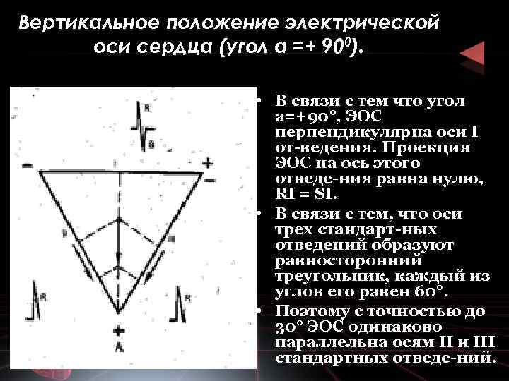 Вертикальное положение электрической оси сердца (угол а =+ 900). • В связи с тем