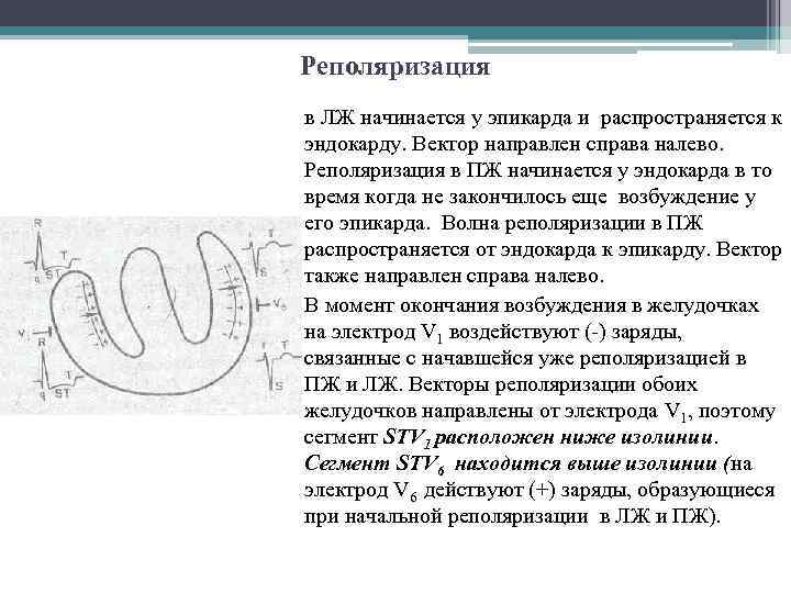 Реполяризация в ЛЖ начинается у эпикарда и распространяется к эндокарду. Вектор направлен справа налево.