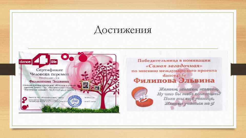 Достижения 