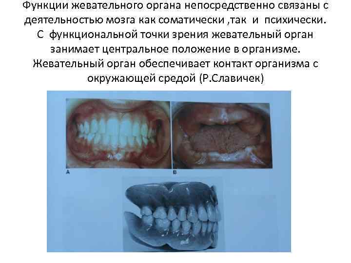 Функции жевательного органа непосредственно связаны с деятельностью мозга как соматически , так и психически.