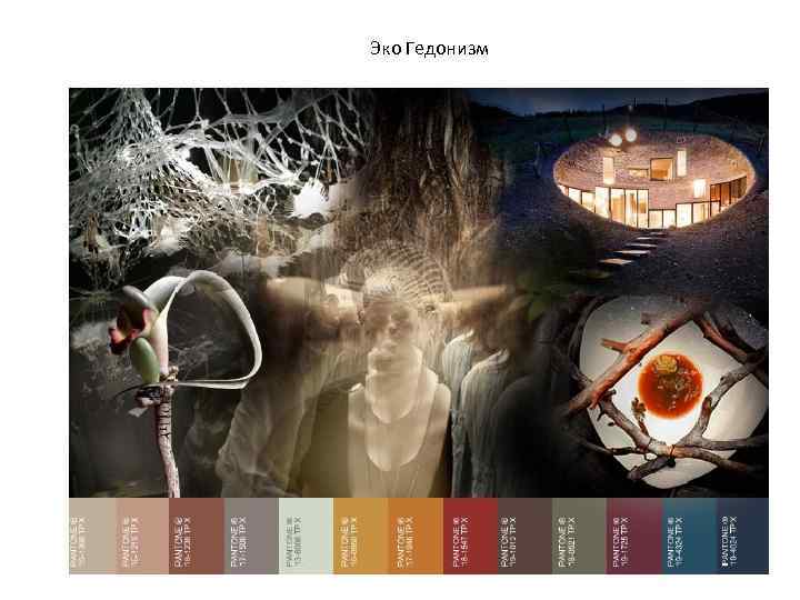 Эко Гедонизм 