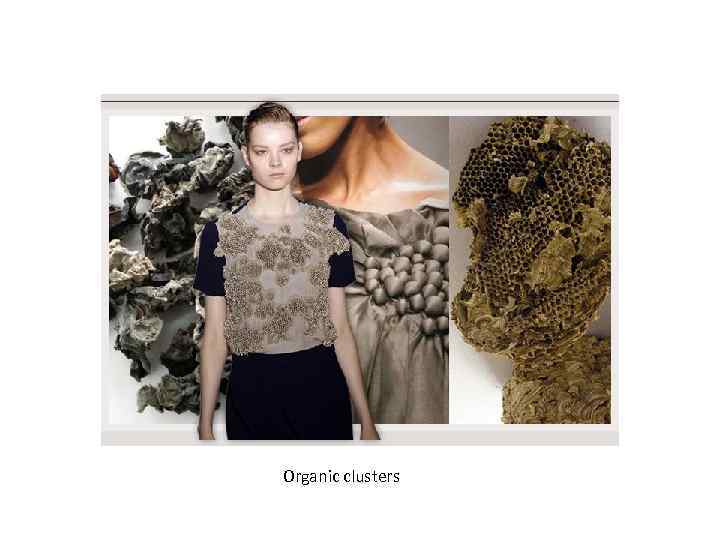 Organic clusters 