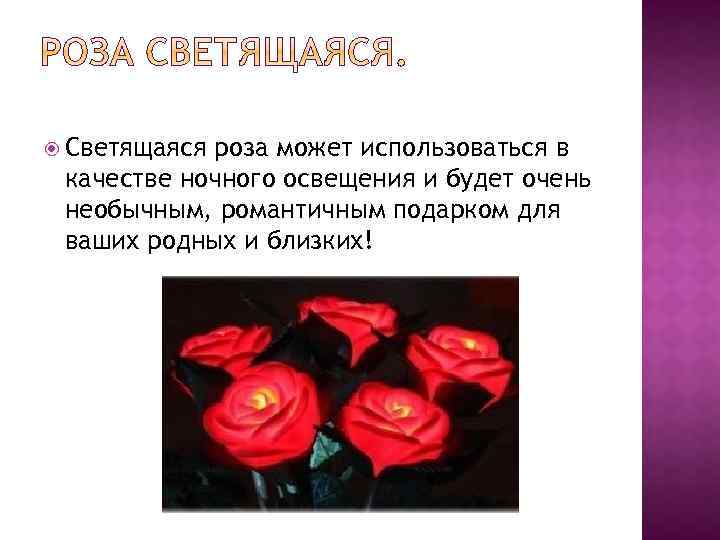  Светящаяся роза может использоваться в качестве ночного освещения и будет очень необычным, романтичным