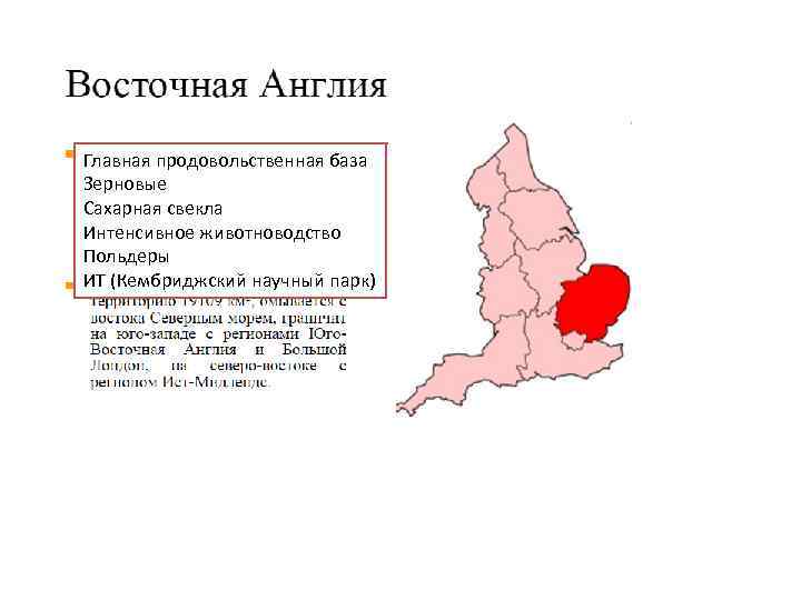 Главная продовольственная база Зерновые Сахарная свекла Интенсивное животноводство Польдеры ИТ (Кембриджский научный парк) 