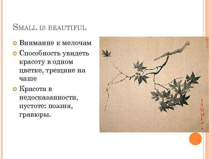 SMALL IS BEAUTIFUL Внимание к мелочам Способность увидеть красоту в одном цветке, трещине на