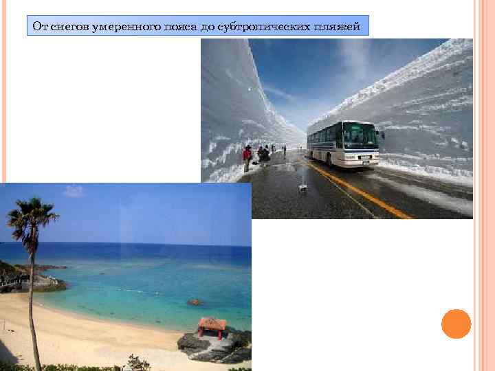 От снегов умеренного пояса до субтропических пляжей 