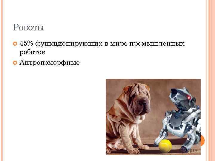 РОБОТЫ 45% функционирующих в мире промышленных роботов Антропоморфные 
