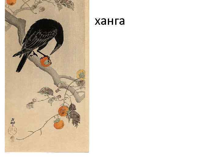 ханга 
