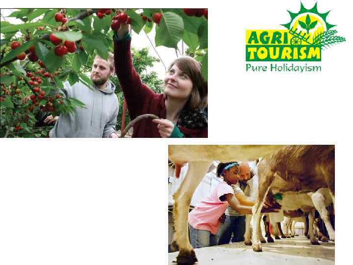 Агротуризм 