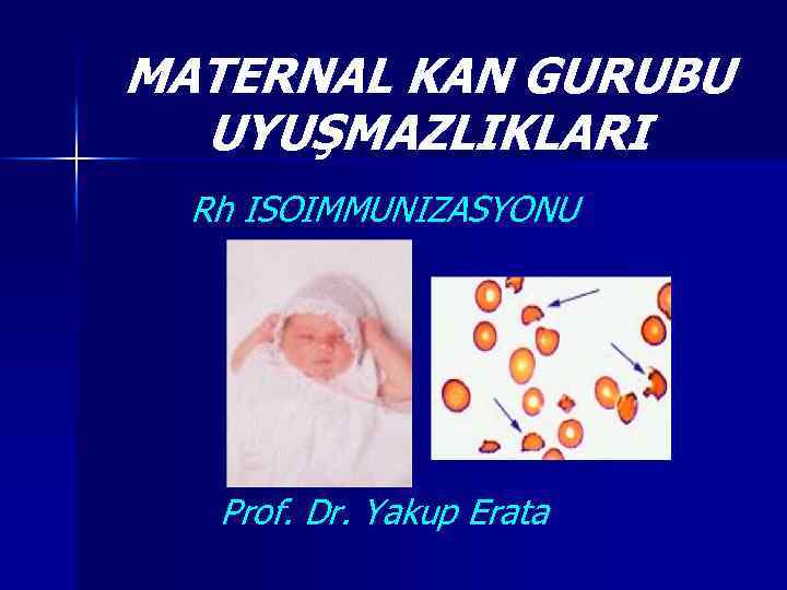 MATERNAL KAN GURUBU UYUŞMAZLIKLARI Rh ISOIMMUNIZASYONU Prof. Dr. Yakup Erata 