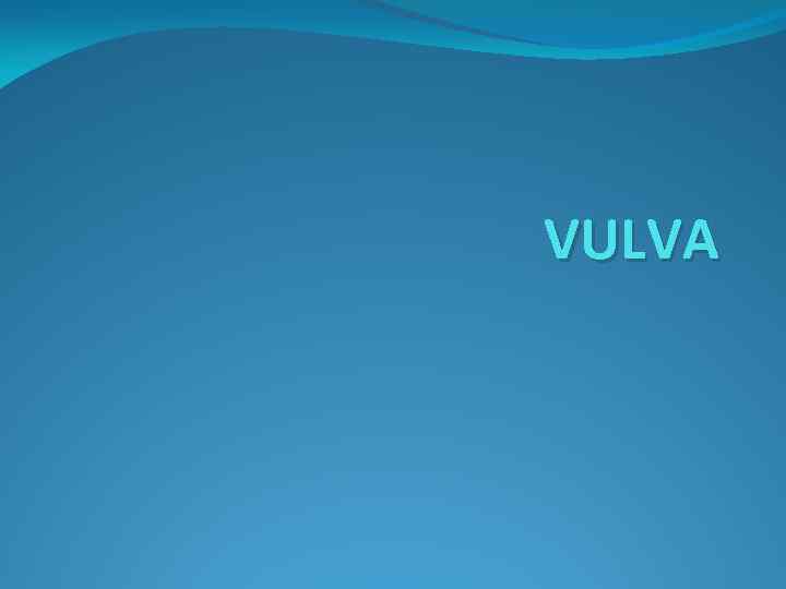 VULVA 