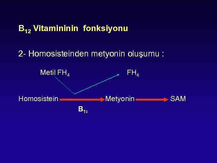 B 12 Vitamininin fonksiyonu 2 - Homosisteinden metyonin oluşumu : Metil FH 4 Homosistein