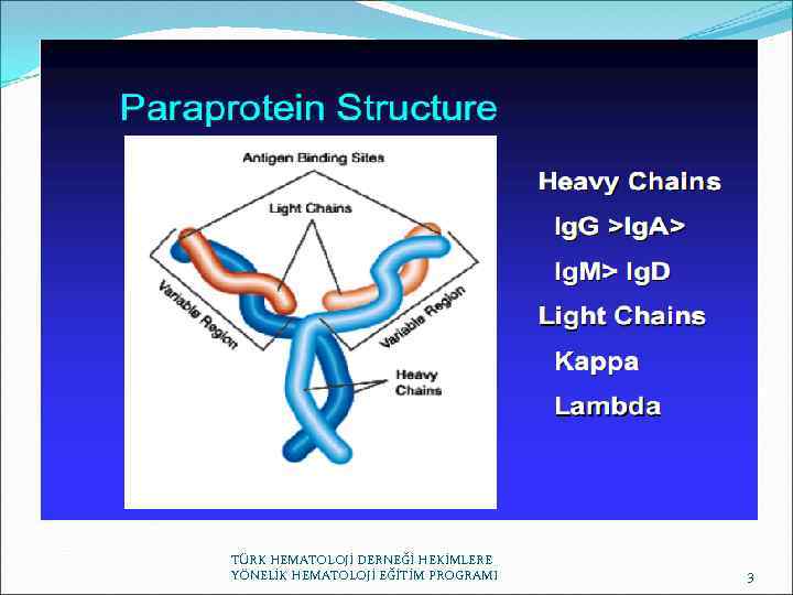 TÜRK HEMATOLOJİ DERNEĞİ HEKİMLERE YÖNELİK HEMATOLOJİ EĞİTİM PROGRAMI 3 