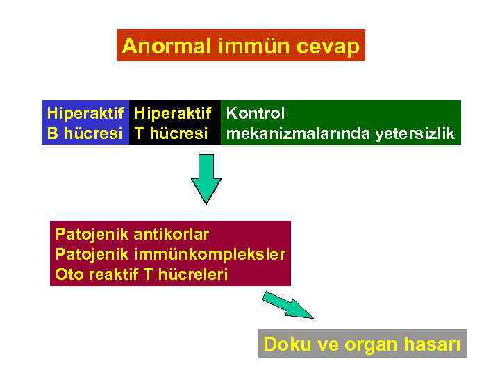 Anormal immün cevap Hiperaktif Kontrol B hücresi T hücresi mekanizmalarında yetersizlik Patojenik antikorlar Patojenik