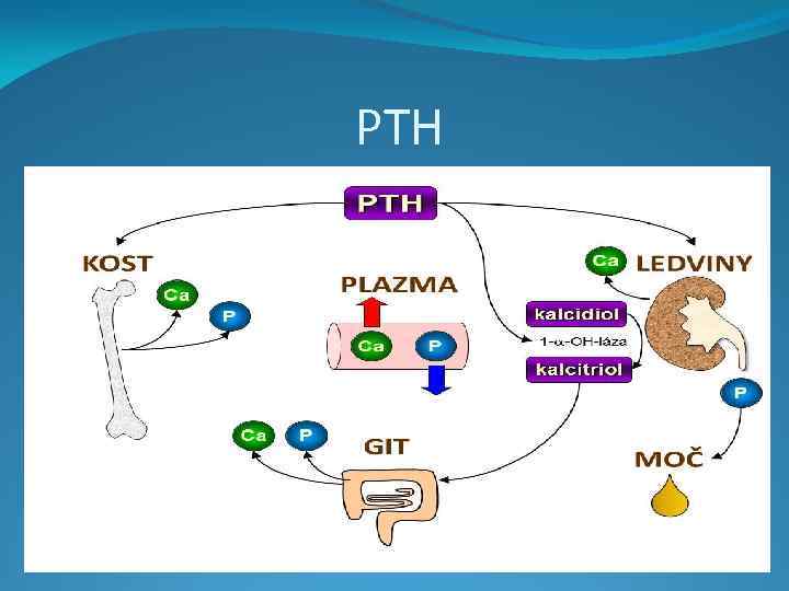 PTH 