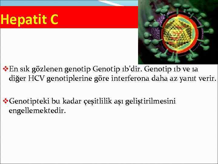 Hepatit C v. En sık gözlenen genotip Genotip 1 b’dir. Genotip 1 b ve