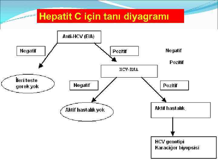 Hepatit C için tanı diyagramı 