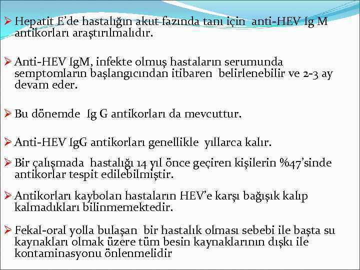 Ø Hepatit E’de hastalığın akut fazında tanı için anti-HEV Ig M antikorları araştırılmalıdır. Ø