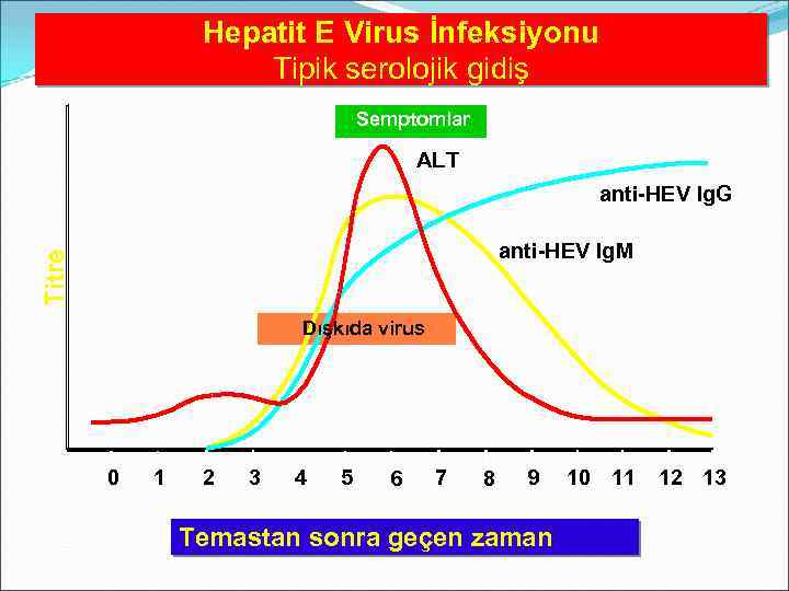 Hepatit E Virus İnfeksiyonu Tipik serolojik gidiş Semptomlar ALT anti-HEV Ig. G Titre anti-HEV