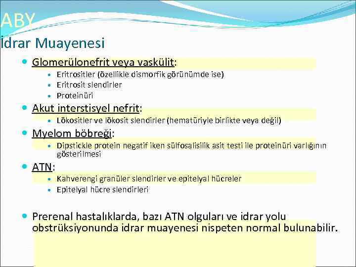 ABY İdrar Muayenesi Glomerülonefrit veya vaskülit: Eritrositler (özellikle dismorfik görünümde ise) Eritrosit slendirler Proteinüri