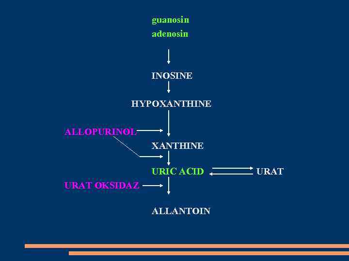 guanosin adenosin INOSINE HYPOXANTHINE ALLOPURINOL XANTHINE URIC ACID URAT OKSIDAZ ALLANTOIN URAT 