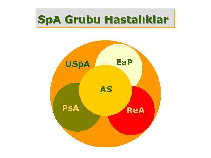 Sp. A Grubu Hastalıklar Ea. P USp. A AS Ps. A Re. A 