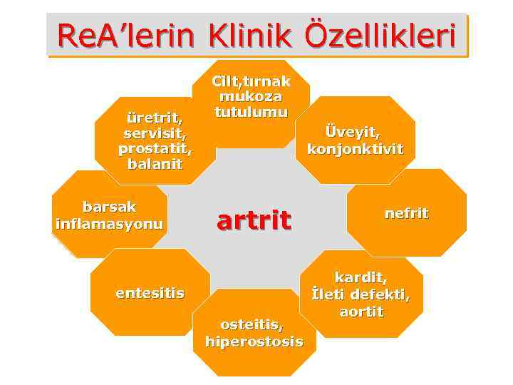 Re. A’lerin Klinik Özellikleri üretrit, servisit, prostatit, balanit barsak inflamasyonu Cilt, tırnak mukoza tutulumu