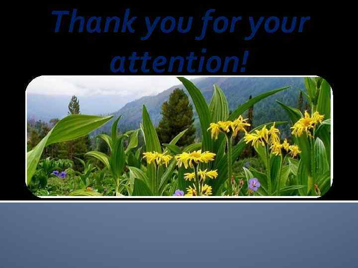 Thank you for your attention! 