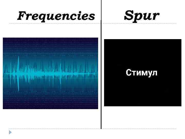 Frequencies Spur 