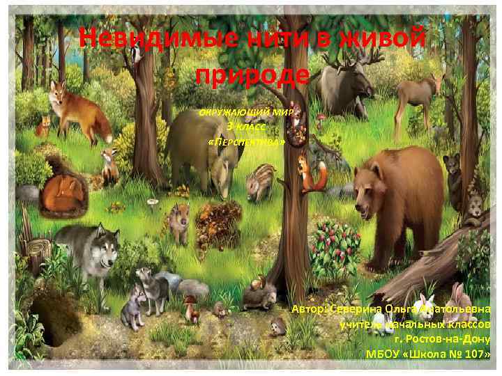 Невидимые нити в живой природе ОКРУЖАЮЩИЙ МИР 3 КЛАСС «ПЕРСПЕКТИВА» Автор: Северина Ольга Анатольевна